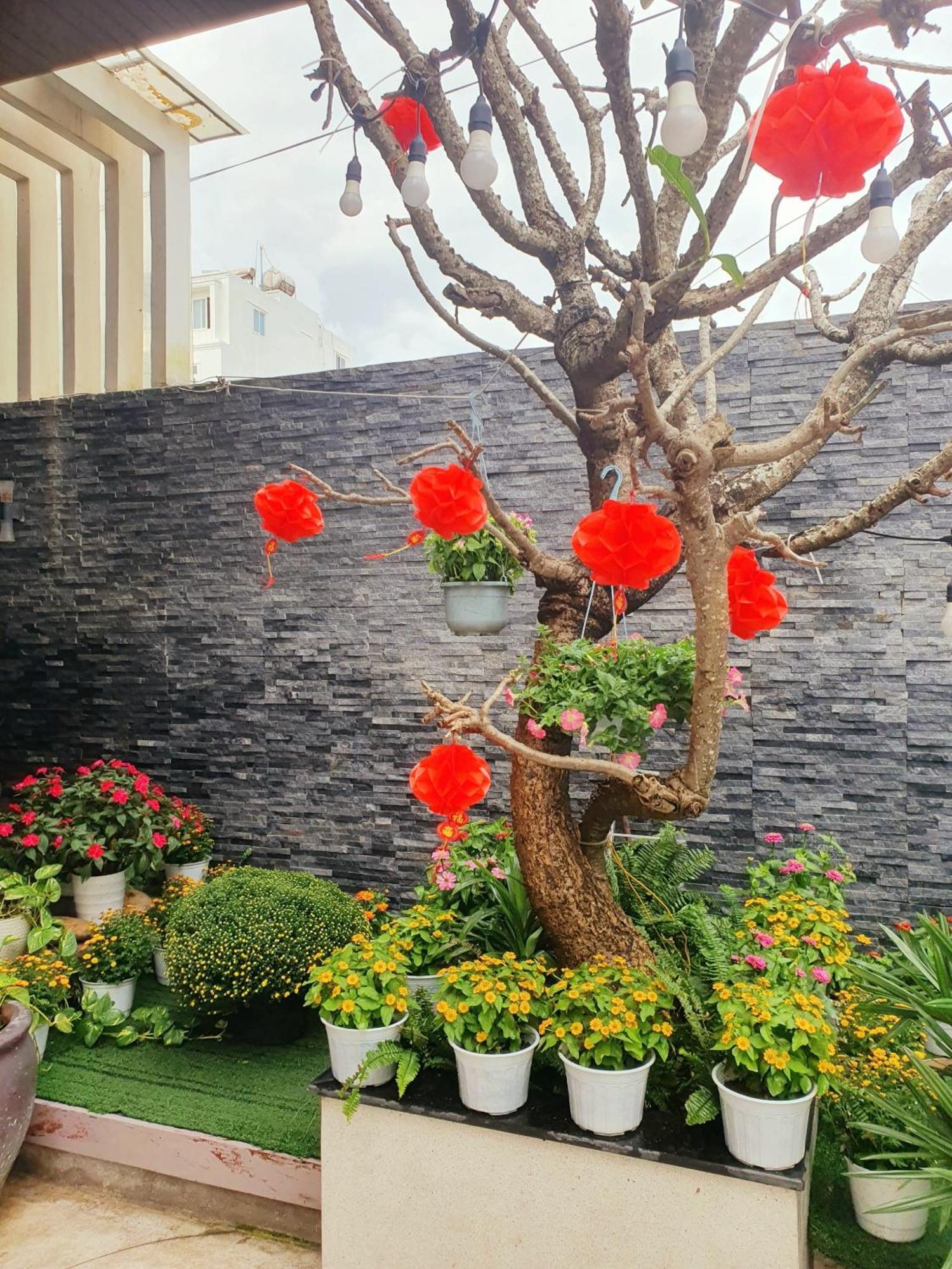 Animor Green Home Đà Nẵng Exterior foto